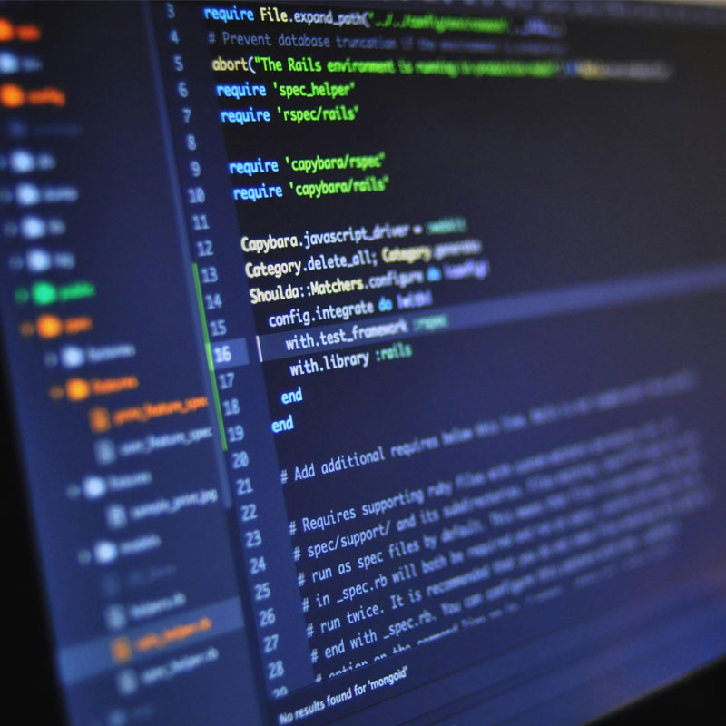 Software Development